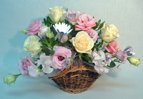 ����ԁ@���ԃA�����W/�X�v�����O�o�X�P�b�g�l